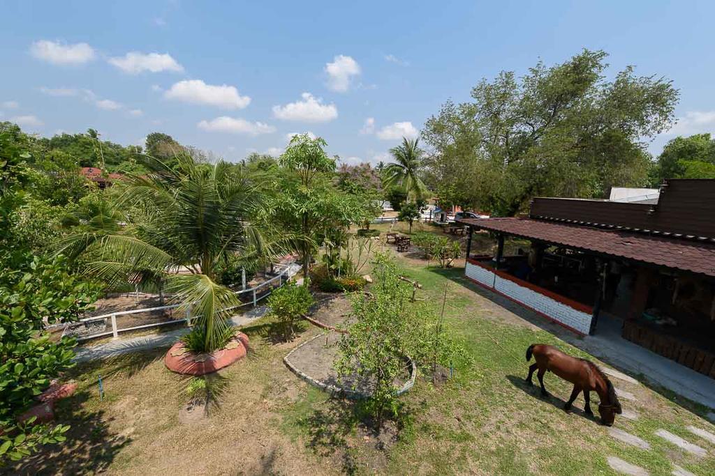 Cowboy Farm Resort Pattaya Ban Huai Yai Eksteriør bilde