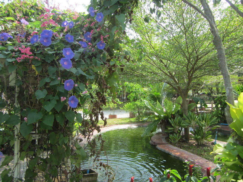 Cowboy Farm Resort Pattaya Ban Huai Yai Eksteriør bilde